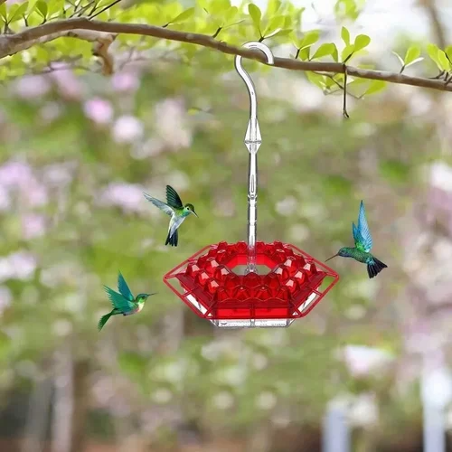 Bazorn Sweety Hummingbird Feeder