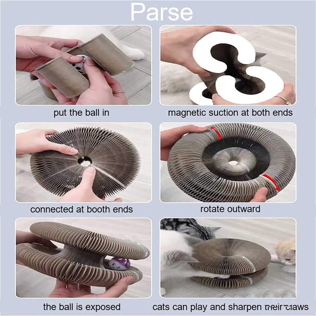 Bazorn Magic Organ Cat Scratch Board.