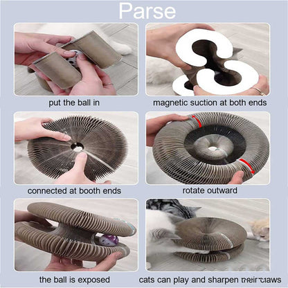 Bazorn Magic Organ Cat Scratch Board.