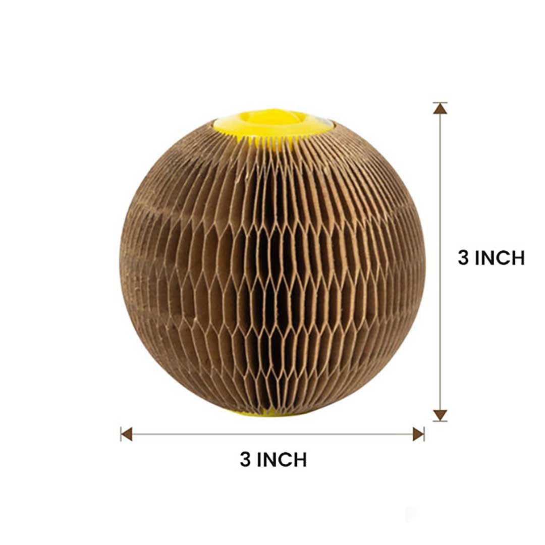 Bazorn Magic Organ Cat Scratch Board.