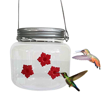 Bazorn Mason Jar Hummingbird Feeder