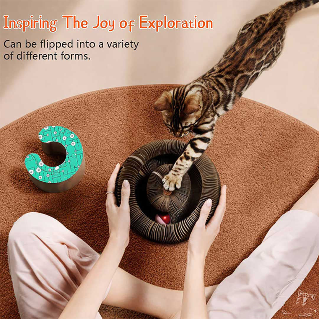 Bazorn Magic Organ Cat Scratch Board.