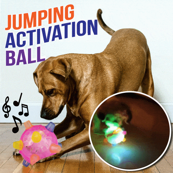 Bazorn™ Pet Ball  Endless Entertainment for Your Furry Friend!