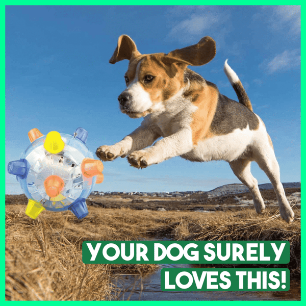 Bazorn™ Pet Ball  Endless Entertainment for Your Furry Friend!