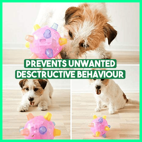 Bazorn™ Pet Ball  Endless Entertainment for Your Furry Friend!