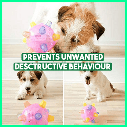 Bazorn™ Pet Ball  Endless Entertainment for Your Furry Friend!