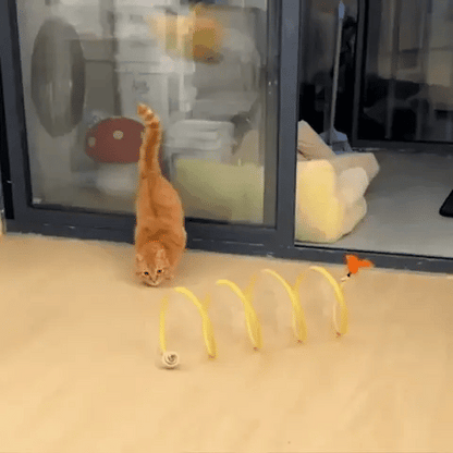 Bazorn  Cat Coil Spring Toy For Indoor Cats