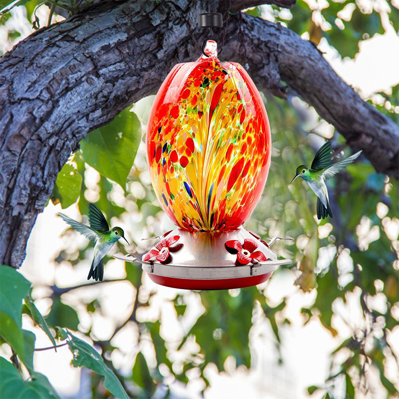 Bazorn Hummingbird Feeder Hand Blown Glass